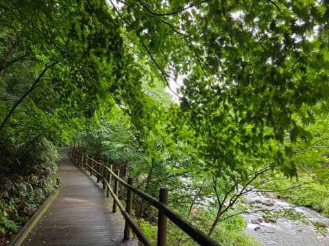 진안고원길9구간(운일암반일암숲길) 사진 8