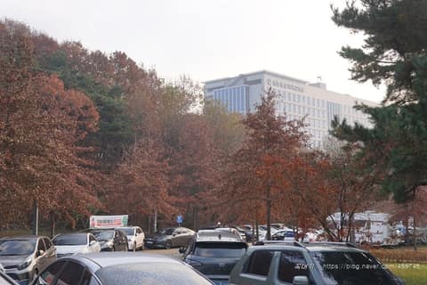 행복도시둘레길3코스 사진 1