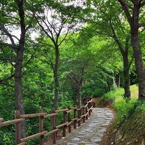 청풍호자드락길1코스 사진 2