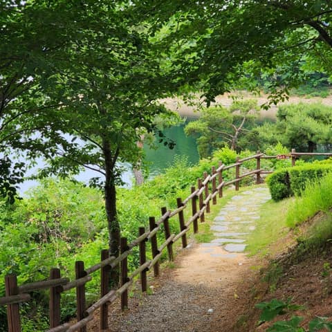 청풍호자드락길1코스 사진 4