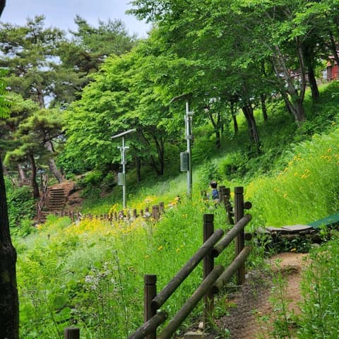 청풍호자드락길1코스 사진 6
