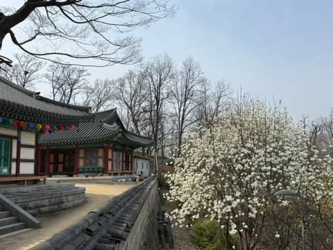 동작충효길6코스(동작마루길) 사진 3