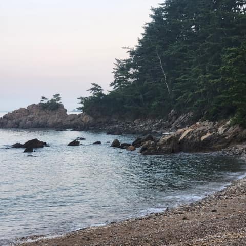 솔향기길1코스 사진 3