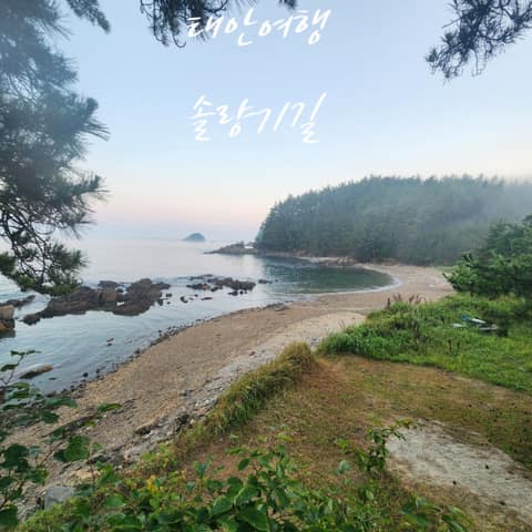 솔향기길1코스 사진 7