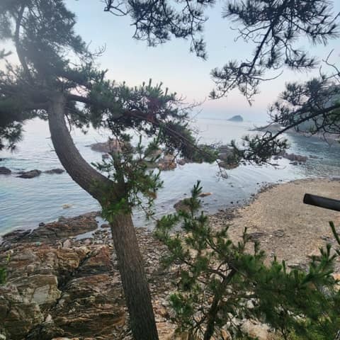 솔향기길1코스 사진 9