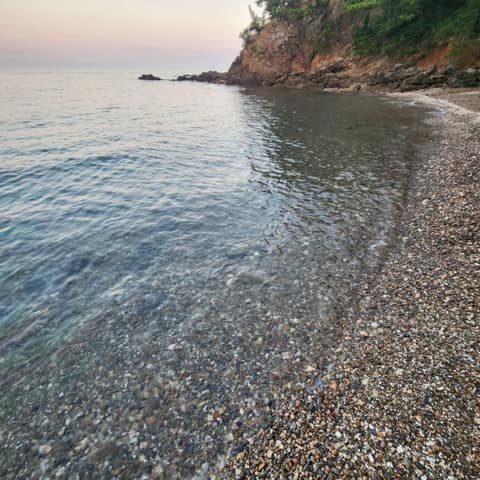 솔향기길1코스 사진 10