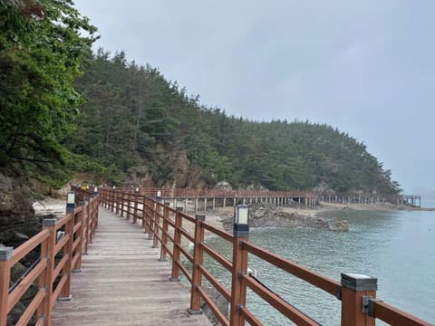 솔향기길2코스 사진 8