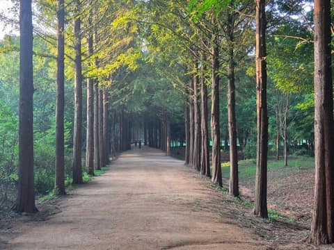 인천종주길6코스 사진 1