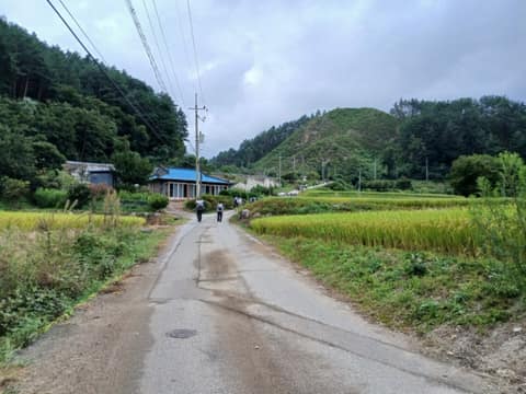 동서트레일54구간 사진 4
