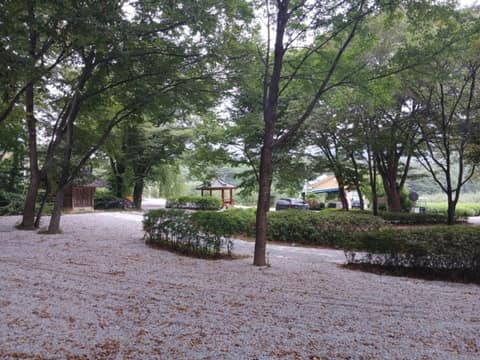 동서트레일48구간 사진 4