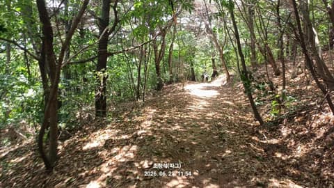 동서트레일7구간 사진 1
