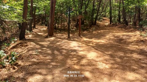 동서트레일7구간 사진 2