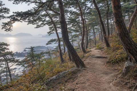 동서트레일2구간 사진 1