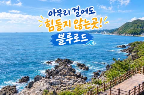 블루로드8코스 사진 2