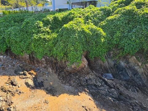 화성황금해안길3구간(궁평관광길) 사진 9