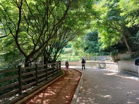 천연동황톳길 사진 2