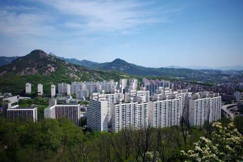 천연동황톳길 사진 4