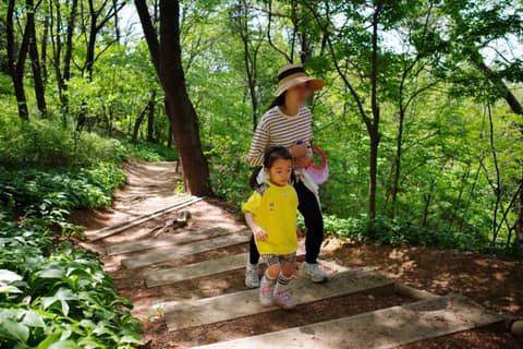 천연동황톳길 사진 6