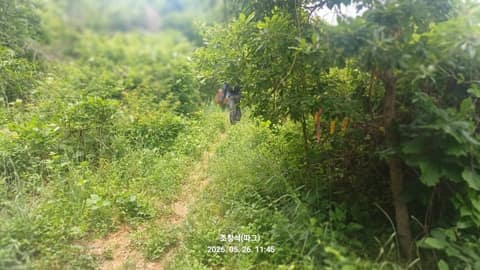동서트레일5구간 사진 3