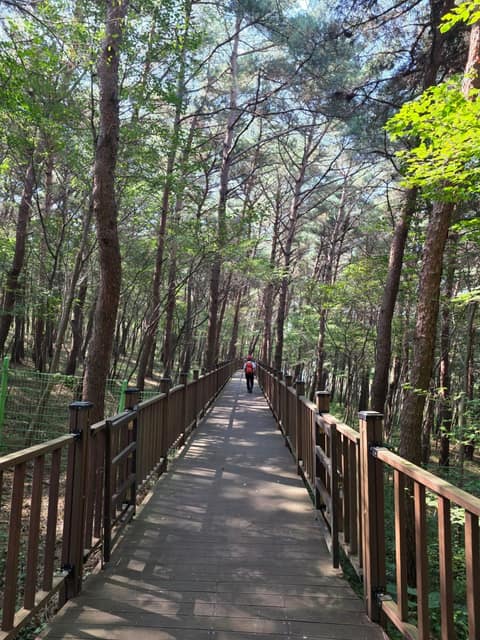 동서트레일1구간 사진 1
