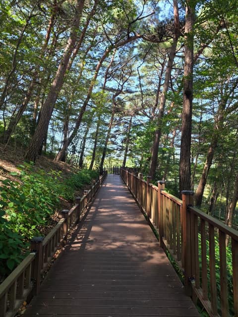 동서트레일1구간 사진 2