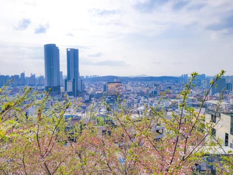 청주우드하늘길 사진 6