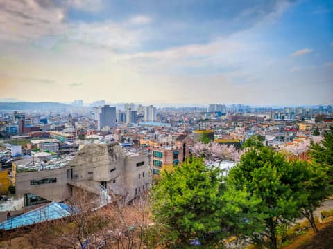청주우드하늘길 사진 7