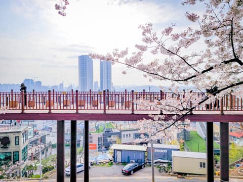 청주우드하늘길 사진 8