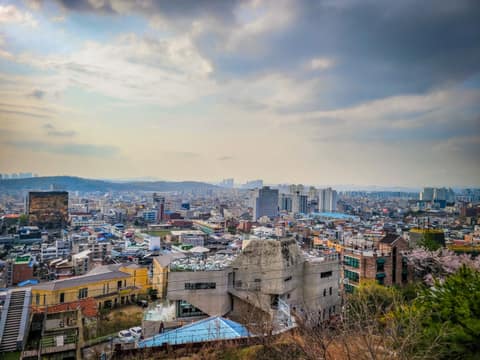 청주우드하늘길 사진 10