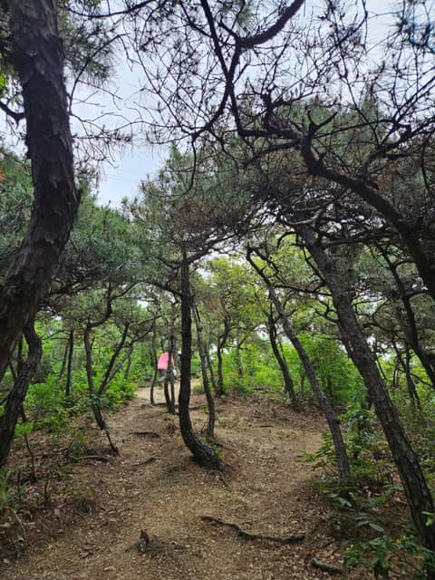 인천종주길4코스 사진 1