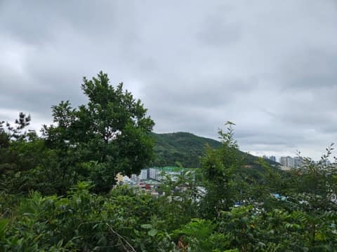 인천종주길4코스 사진 3