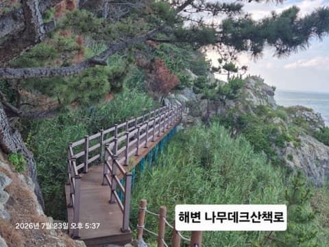 블루로드4코스 사진 4