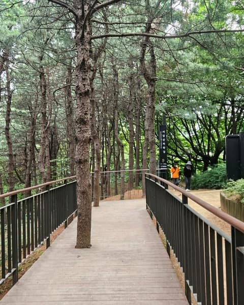 동작충효길1코스(고구동산길) 사진 3