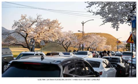 황리단길 사진 5