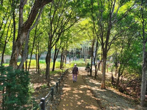 동작충효길4코스(노량진길) 사진 3