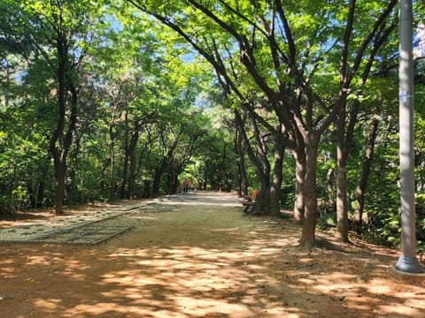동작충효길4코스(노량진길) 사진 4