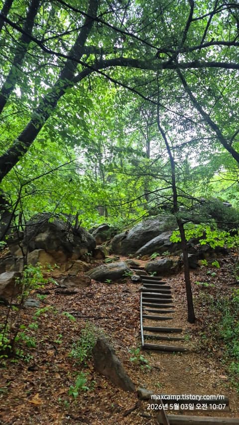 동작충효길4코스(노량진길) 사진 7