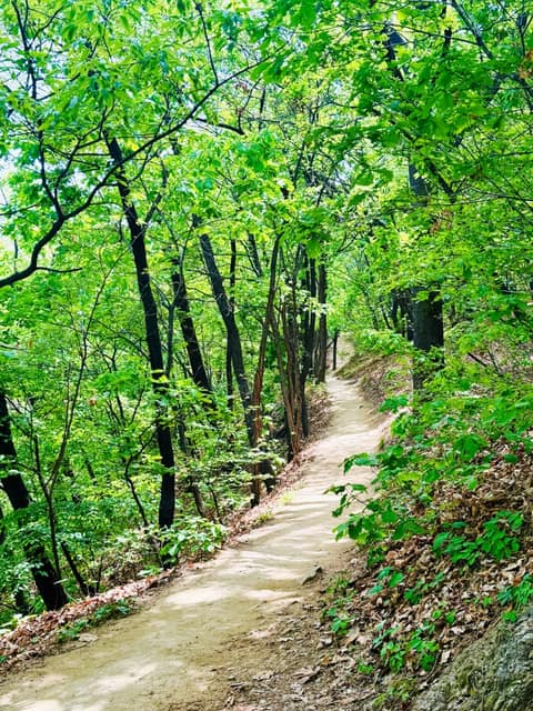 동작충효길2코스(현충원길) 사진 6