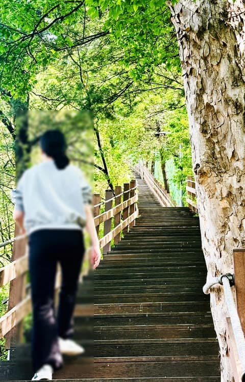 동작충효길2코스(현충원길) 사진 7