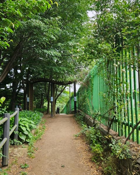 동작충효길2코스(현충원길) 사진 10