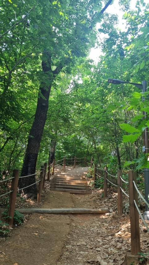 동작충효길5코스(보라매길) 사진 1