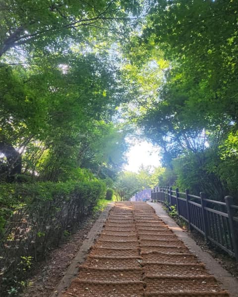 남산둘레길 사진 7