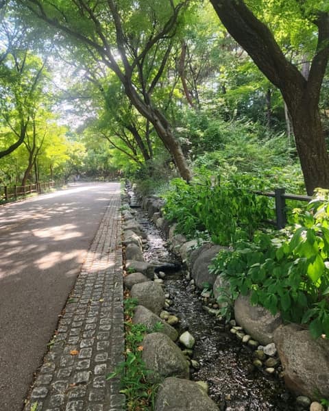 남산둘레길 사진 8