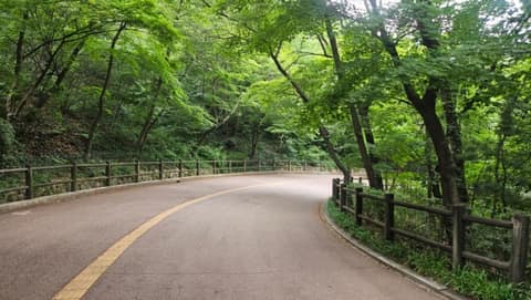 남산둘레길 사진 10