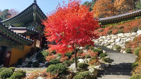 happy700길 오대산 사진 1