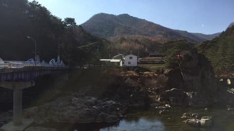 happy700길 장미·덕수산 사진 1