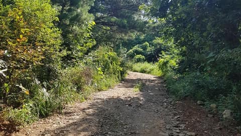 계명산 숲길 사진 1