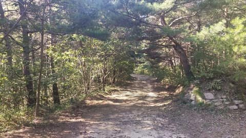 고성갈래구경길 관대바위 산소길 사진 1