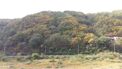청량산 예던길 사진 1