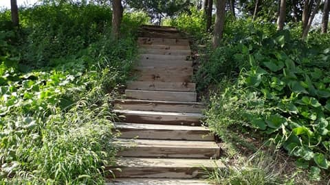 늠내길 4코스 바람길 사진 1